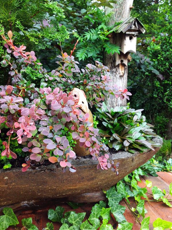 small-landscapes-in-a-stone-planter