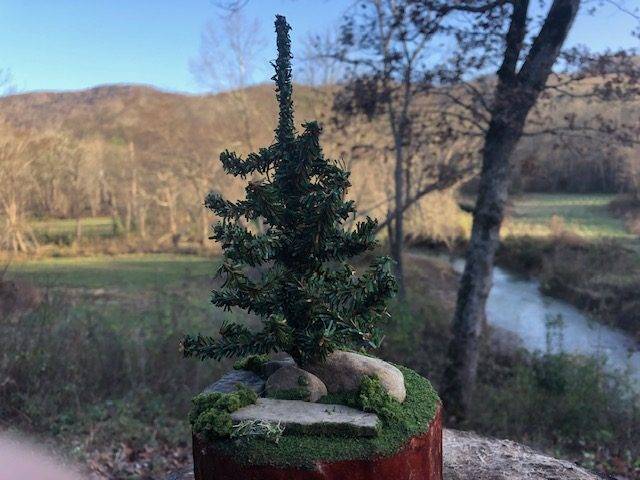 LONE PINE, a One of a Kind, Unique, Small or Sharing  Cremation Urn for  Human or Pet Ashes